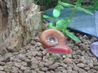 /album/fotogaleria/a2014-05-24-18-59-45-jpg/